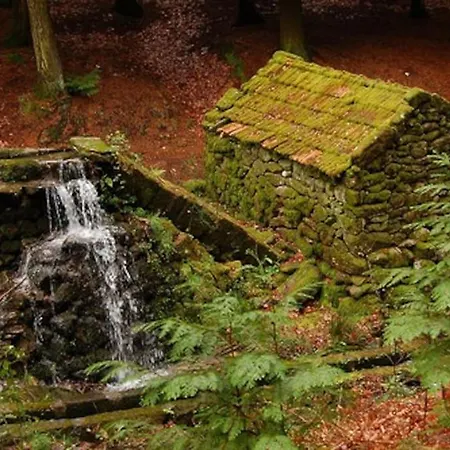 Daire Casa Gazanias Cabeceiras de Basto