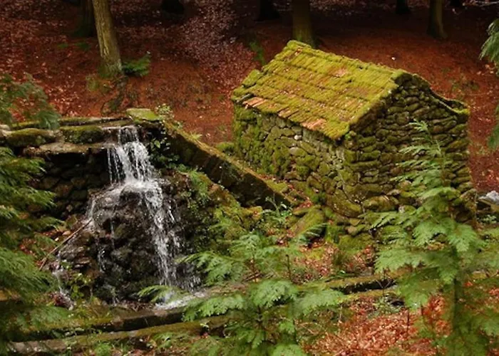 Daire Casa Gazanias Cabeceiras de Basto